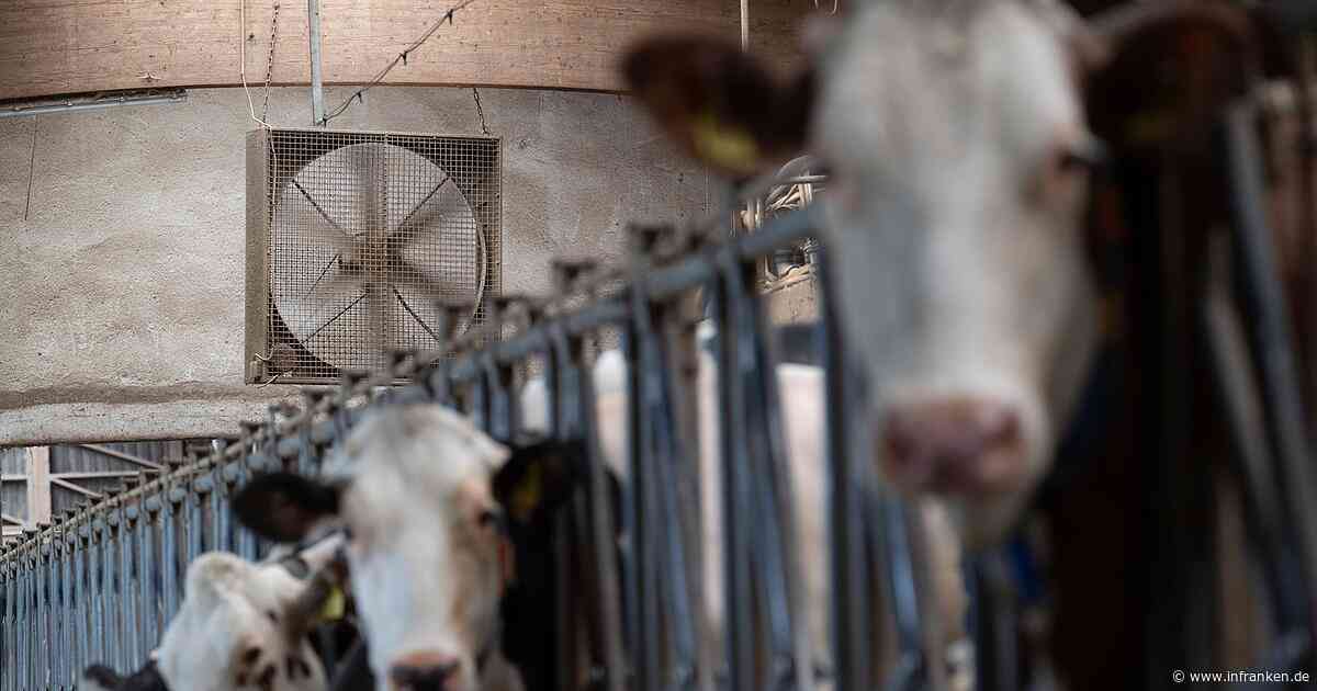 Milchprodukte könnten bald teurer werden