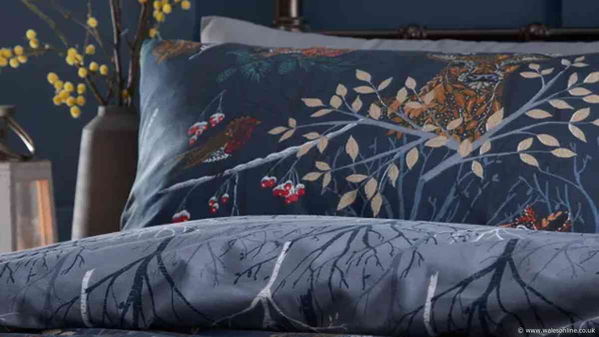 Dunelm's 'soft' reversible autumn bedding drops from £22 to £6.60 in cashback deal