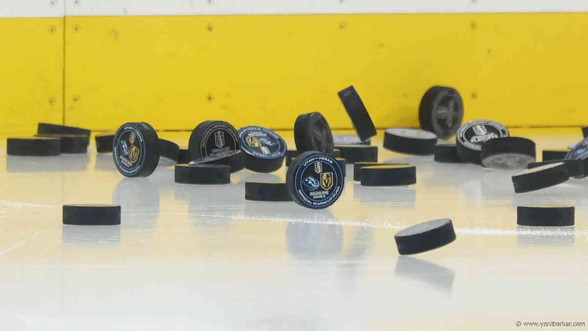 Anton Johansson May Cause Uncomfortable Conversations for the Red Wings