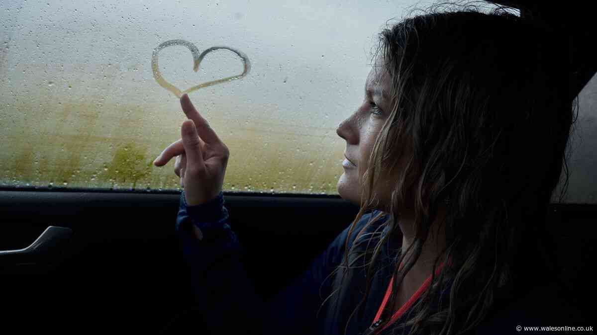 Drivers 'amazed' by £4 condensation gadget that de-mists car windows fast in the cold