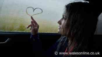 Drivers 'amazed' by £4 condensation gadget that de-mists car windows fast in the cold