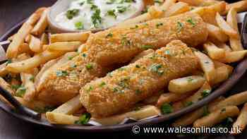 Frozen fish fingers will be tastier with a delicious crust if you add 1 ingredient before cooking