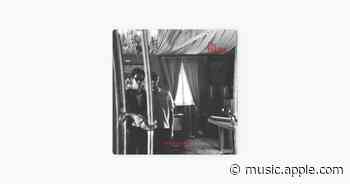 Maybe - The Palms