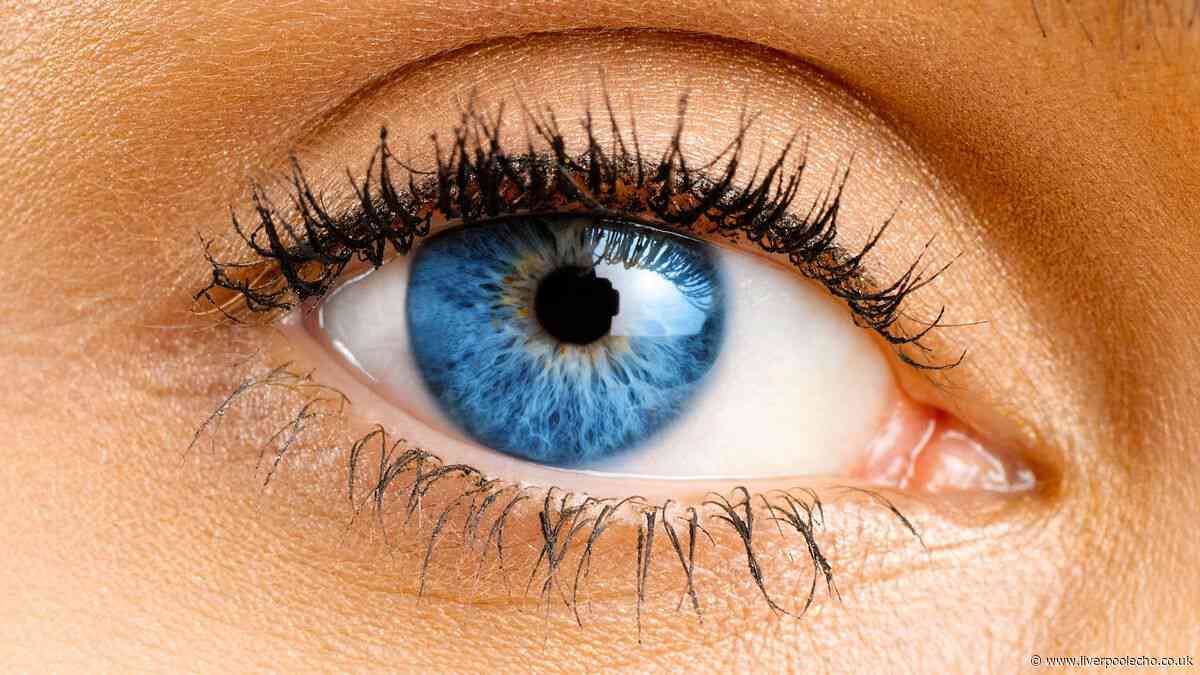 NHS 'you may be entitled' alert - full list of everyone who can get a free £30 eye test