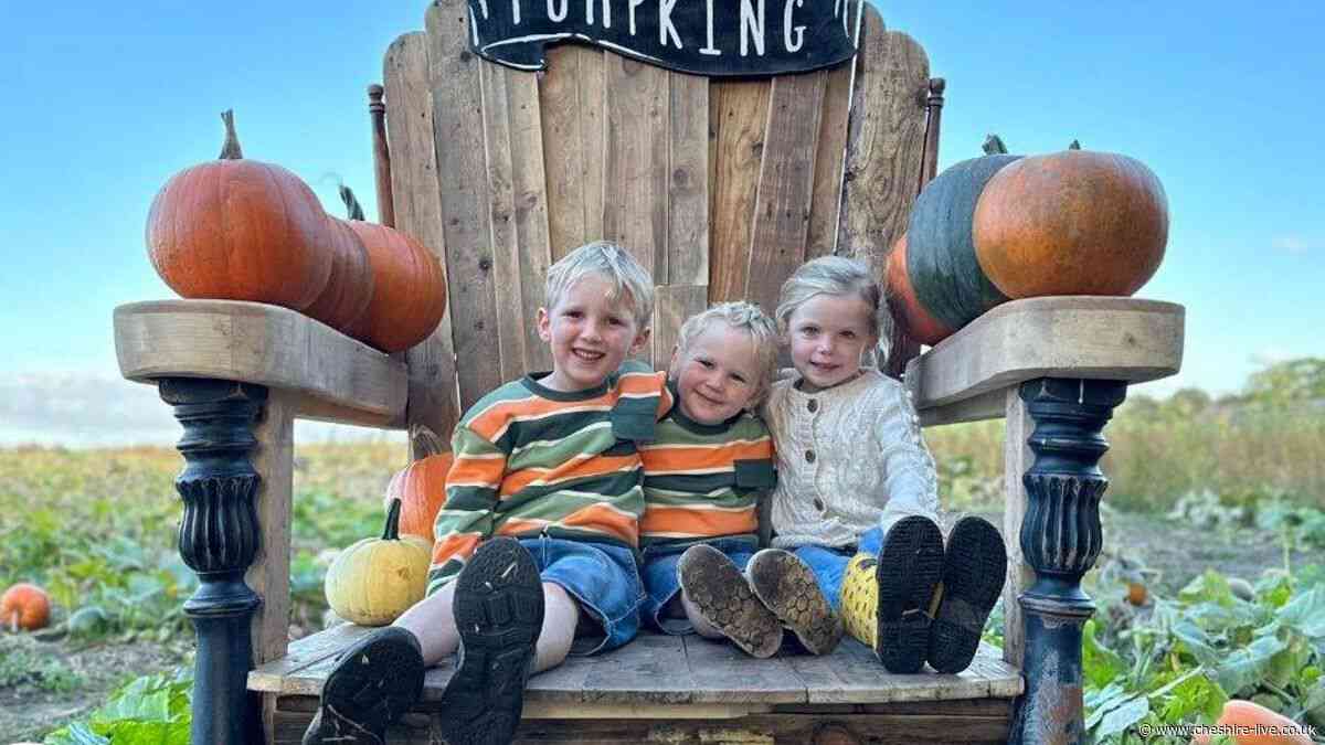The Cheshire pumpkin patch named one of the best in the UK