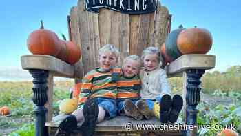 The Cheshire pumpkin patch named one of the best in the UK