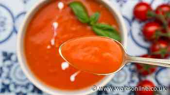 Cheap tinned tomato soup will be tastier and creamier with simple 10-minute recipe