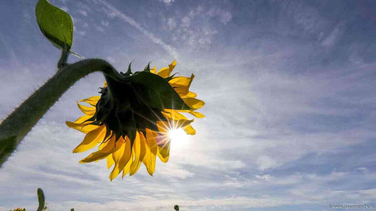 Altweibersommer in Oberbayern: Erst Wärme satt, dann kommt der Wetterwechsel