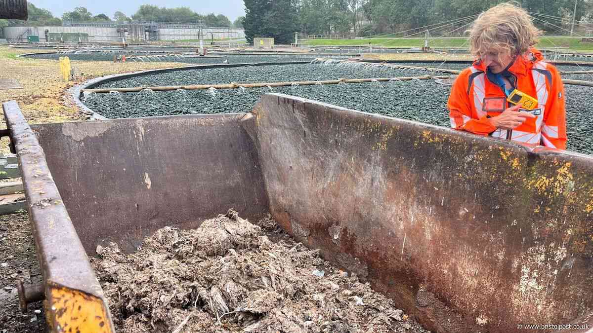 'Poo, sludge and belly button fluff':  I went on a birthday tour of a sewage works
