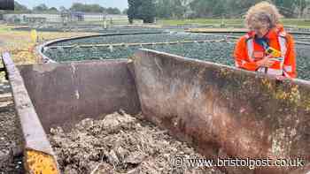 'Poo, sludge and belly button fluff':  I went on a birthday tour of a sewage works