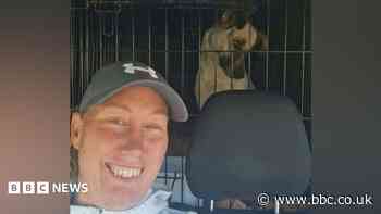 Two women on dog rescue die in crash in Romania