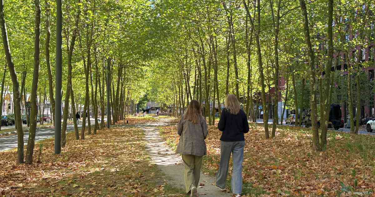 Nazomer! 5 x leuke dingen om te doen in Eindhoven