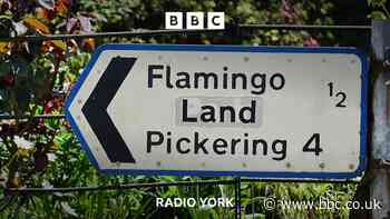 Theme park fanatic's Flamingo Land 'ride marathon'