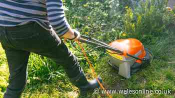 Anyone with lawn given Saturday warning as RHS says 'it's not quite enough'