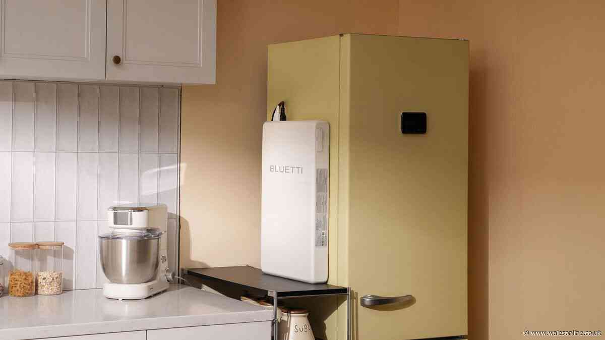 Review: BLUETTI FridgePower will give you peace of mind this winter