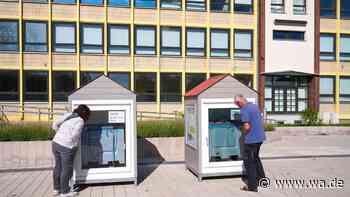 Eisblockwette vor dem Museum: Differenz tippen und Preise gewinnen