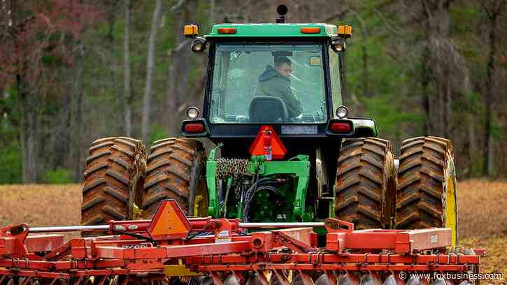 CEO warns high diesel costs could trigger a 'vicious cycle' of surging food prices