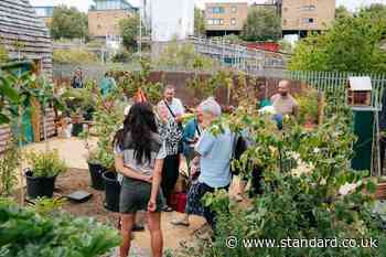 Collective wisdom: The grassroots London projects transforming local neighbourhoods