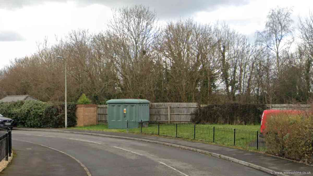 Investigation after body found in Penarth woods