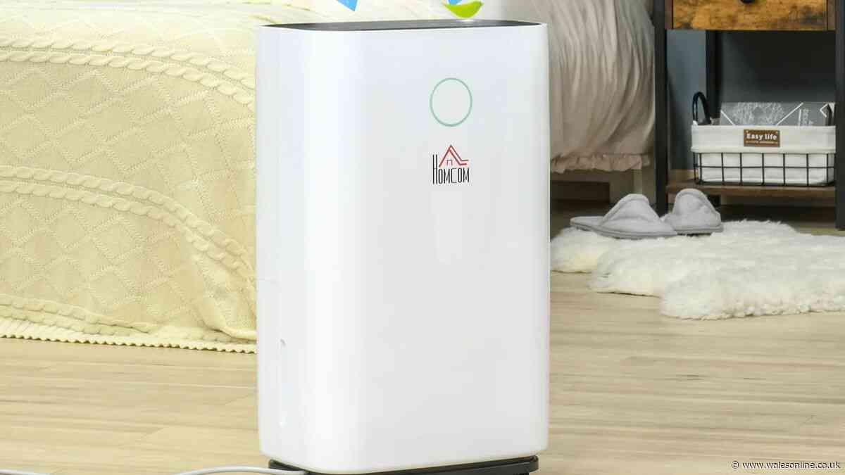 Dehumidifier that dries clothes 'in 4 hours without condensation' drops to £112