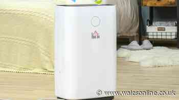 Dehumidifier that dries clothes 'in 4 hours without condensation' drops to £112