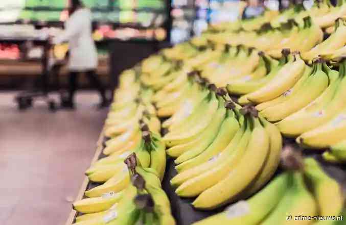 Grote partij cocaïne van ruim 2,3 ton gepakt onder bananen in haven Antwerpen