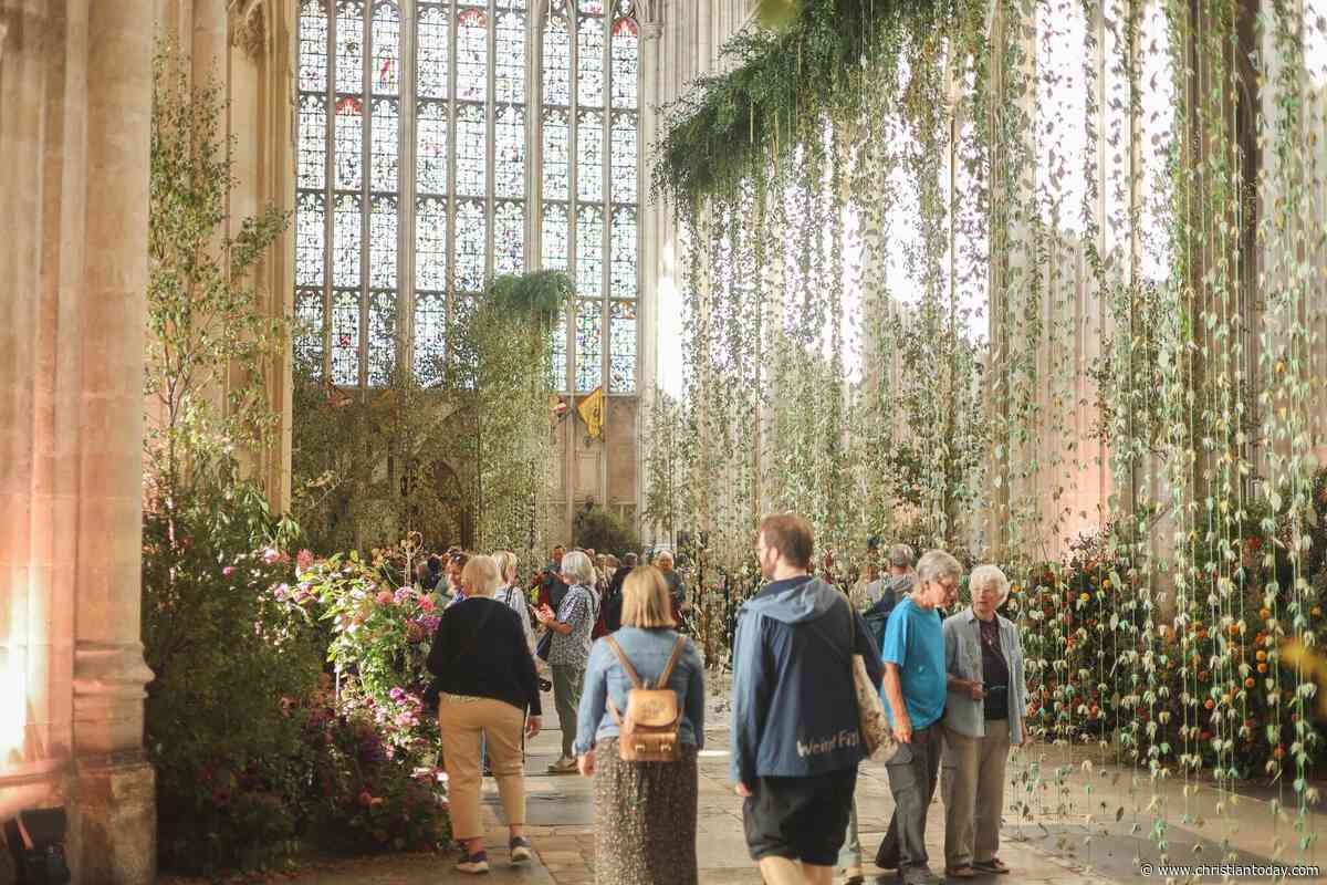 11,000 turn up for Wild! at Winchester Cathedral
