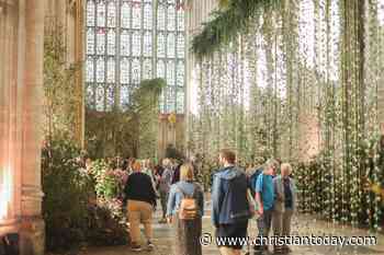 11,000 turn up for Wild! at Winchester Cathedral