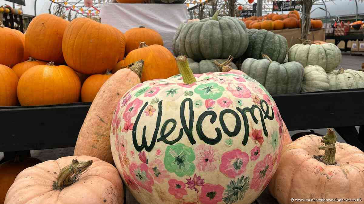 £3.95 Pumpkin Festival opens at award-winning farm on edge of Greater Manchester