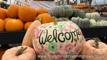 £3.95 Pumpkin Festival opens at award-winning farm on edge of Greater Manchester
