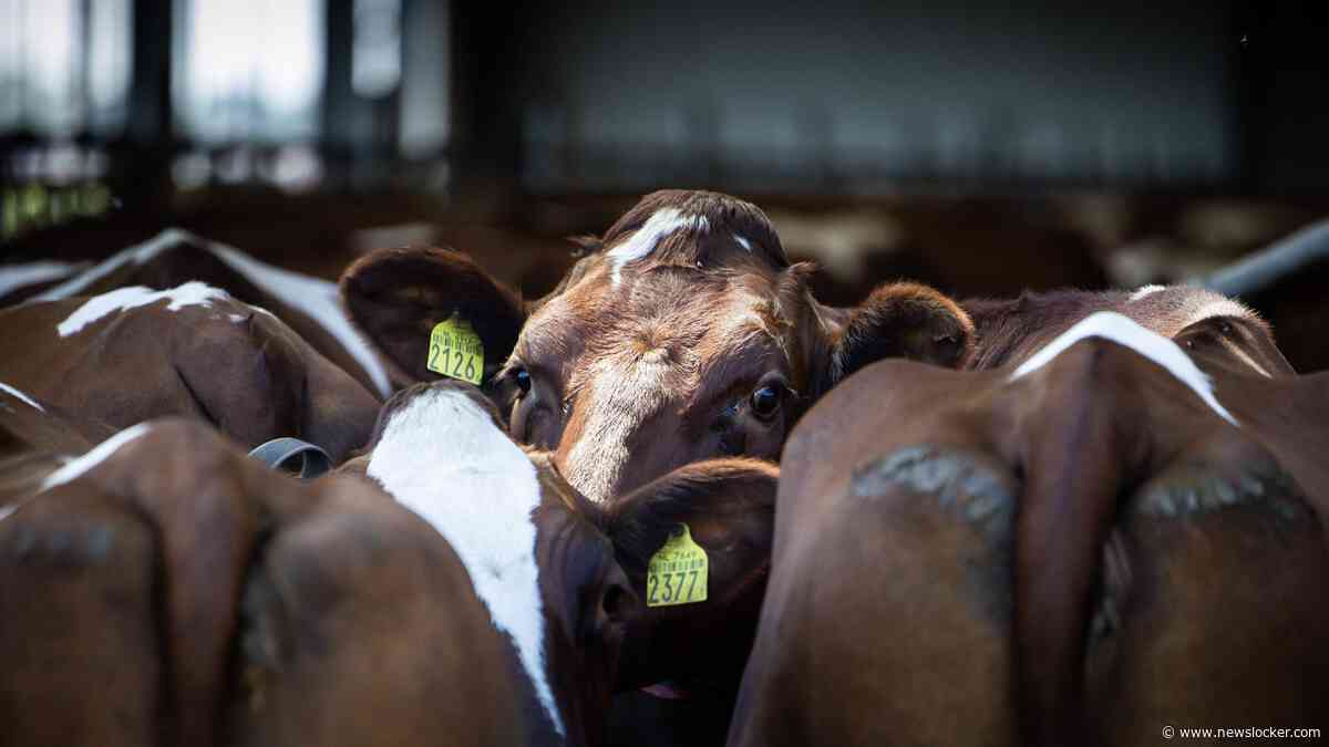 EU voert methaanregels energie-import mogelijk een jaar later in: boetes uitgesteld