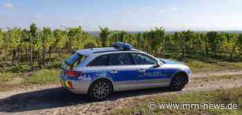 Grünstadt – Verkehrsunfall mit leicht verletztem Radfahrer