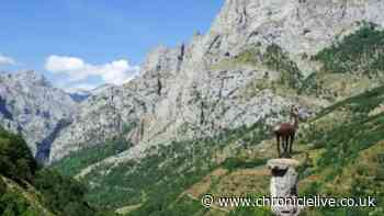 British man, 28, dies in mountain fall in northern Spain