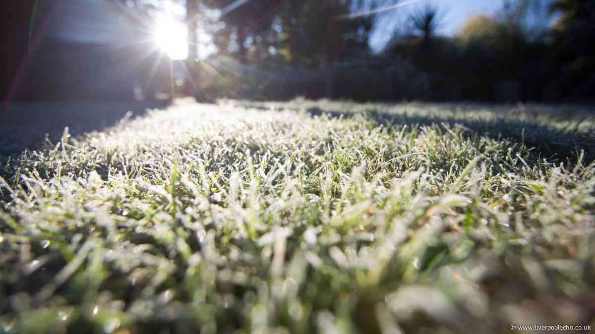 Gardeners warned when to stop cutting grass to avoid winter lawn damage
