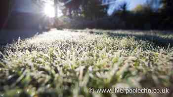Gardeners warned when to stop cutting grass to avoid winter lawn damage