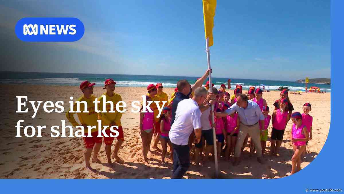 How lifesavers are keeping NSW beachgoers safer this summer | ABC NEWS