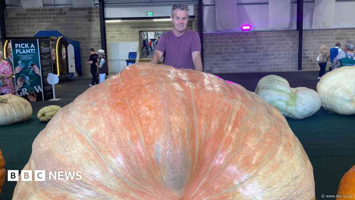 Giant veg records smashed despite 'bonkers' summer
