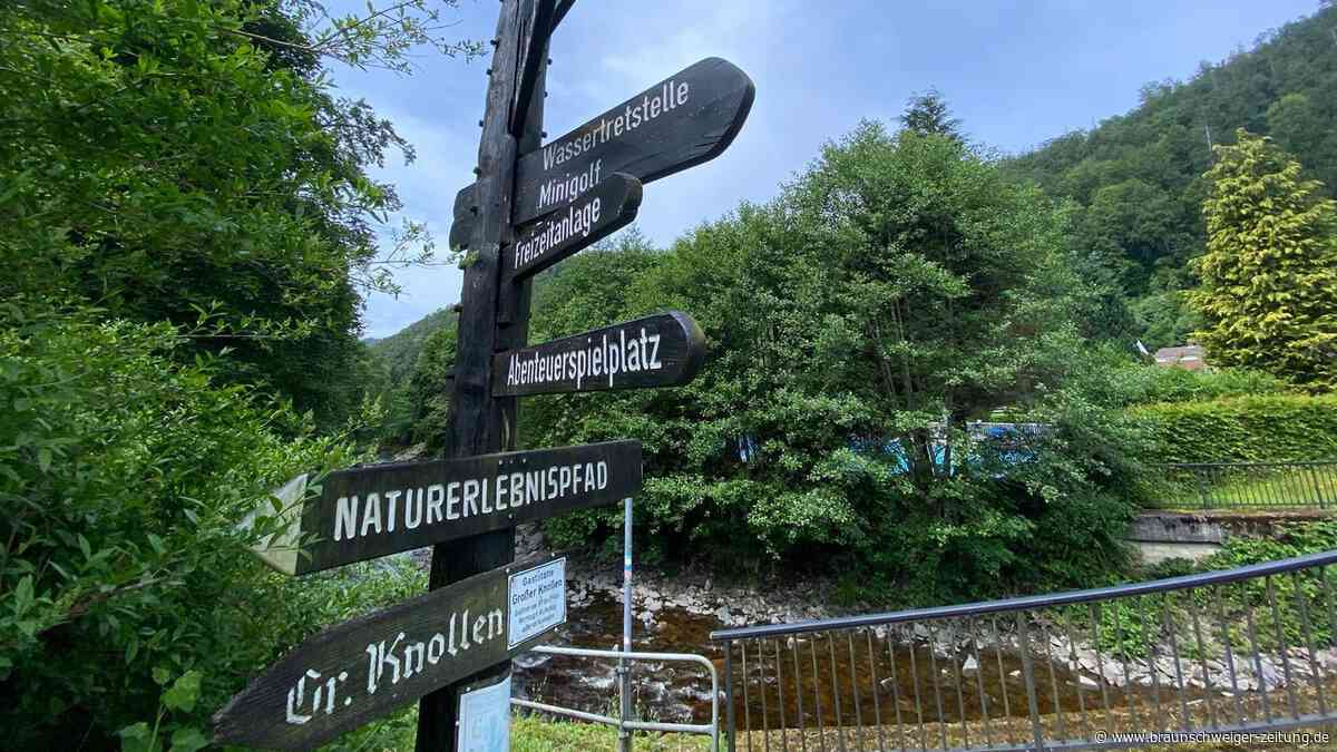 Wandern im Harz, aber für Anfänger: Diese 5 Routen sind perfekt für den Start