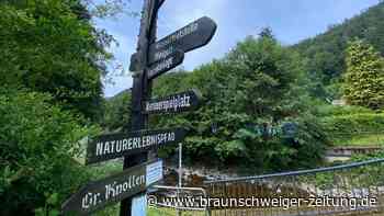 Wandern im Harz, aber für Anfänger: Diese 5 Routen sind perfekt für den Start