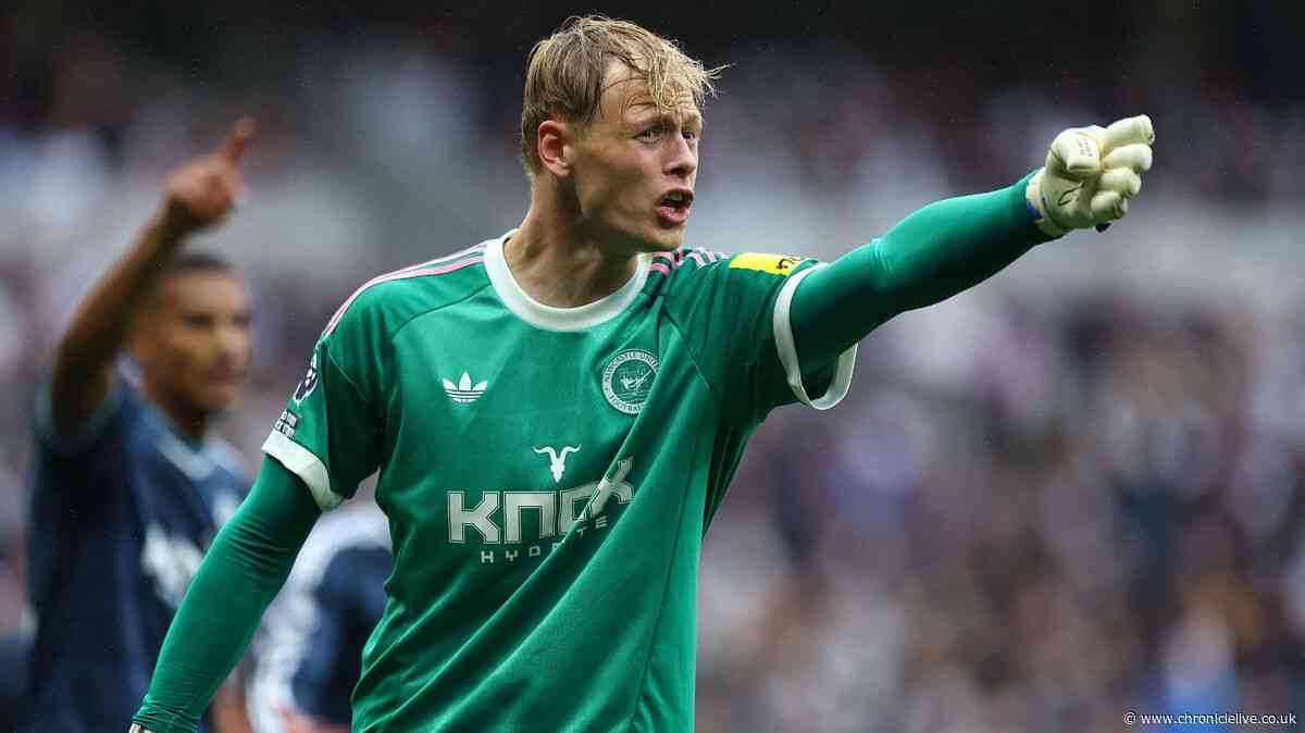 Newcastle United Lukas Hornicek transfer fee revealed by Braga president