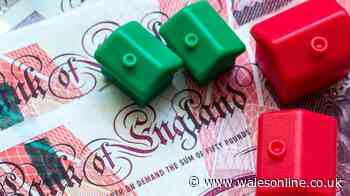 Welsh councillors could get 3% pay rise