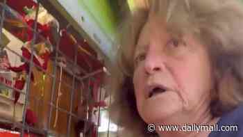 'Carousel Karen' erupts at mum in front of her baby as fairground ticket row explodes - and locals start a petition to run her out of town