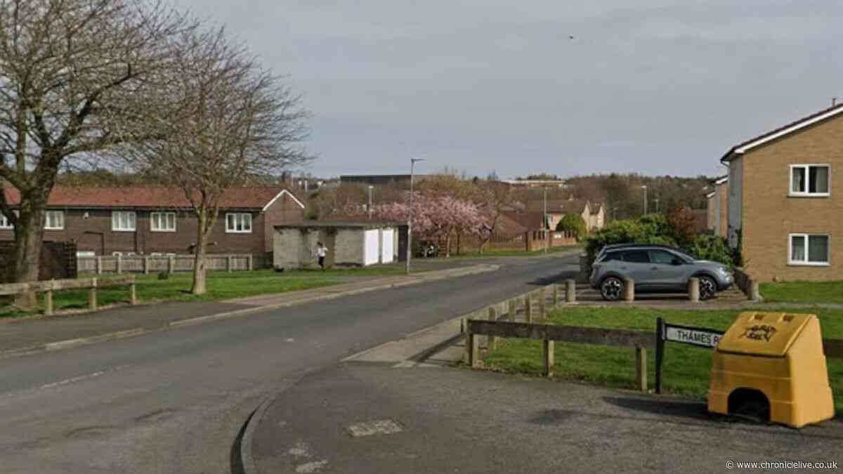 Man charged with murder after alleged stabbing in North East town
