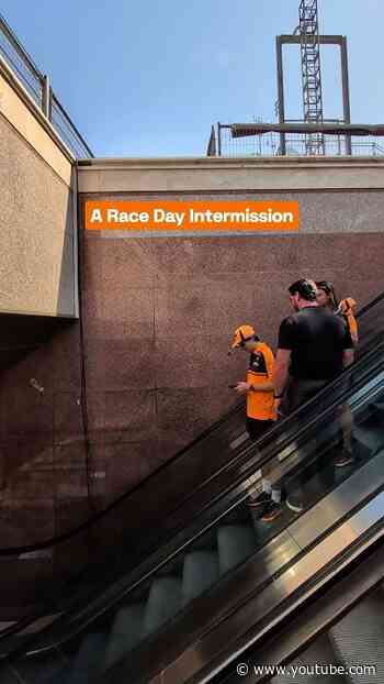 A brief intermission in your race day content 😌