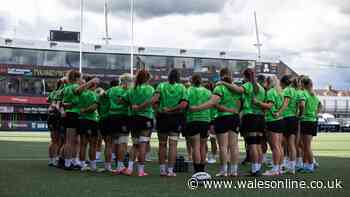 How to watch Wales Women v USA for free: TV channel and start time
