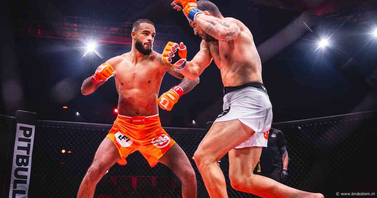 Wereldkampioenen, Levi Rigters én oud-olympiër Roy Meyer: plots doet iedereen MMA