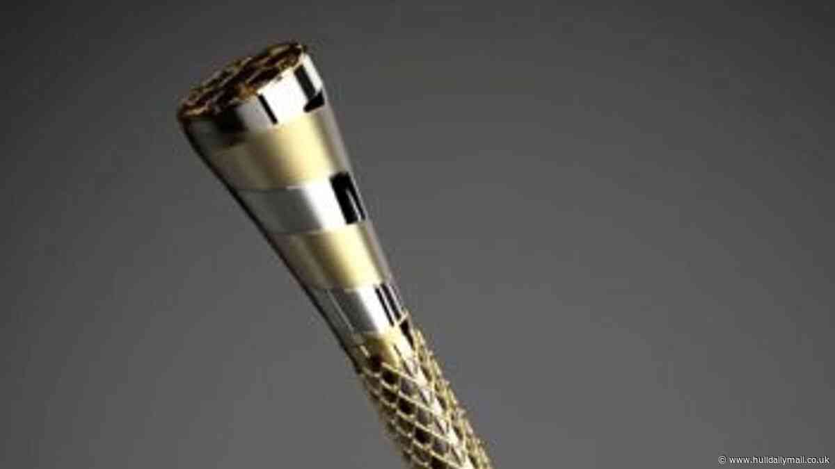 Baton of Hope coming to Hull - and local bearers sought