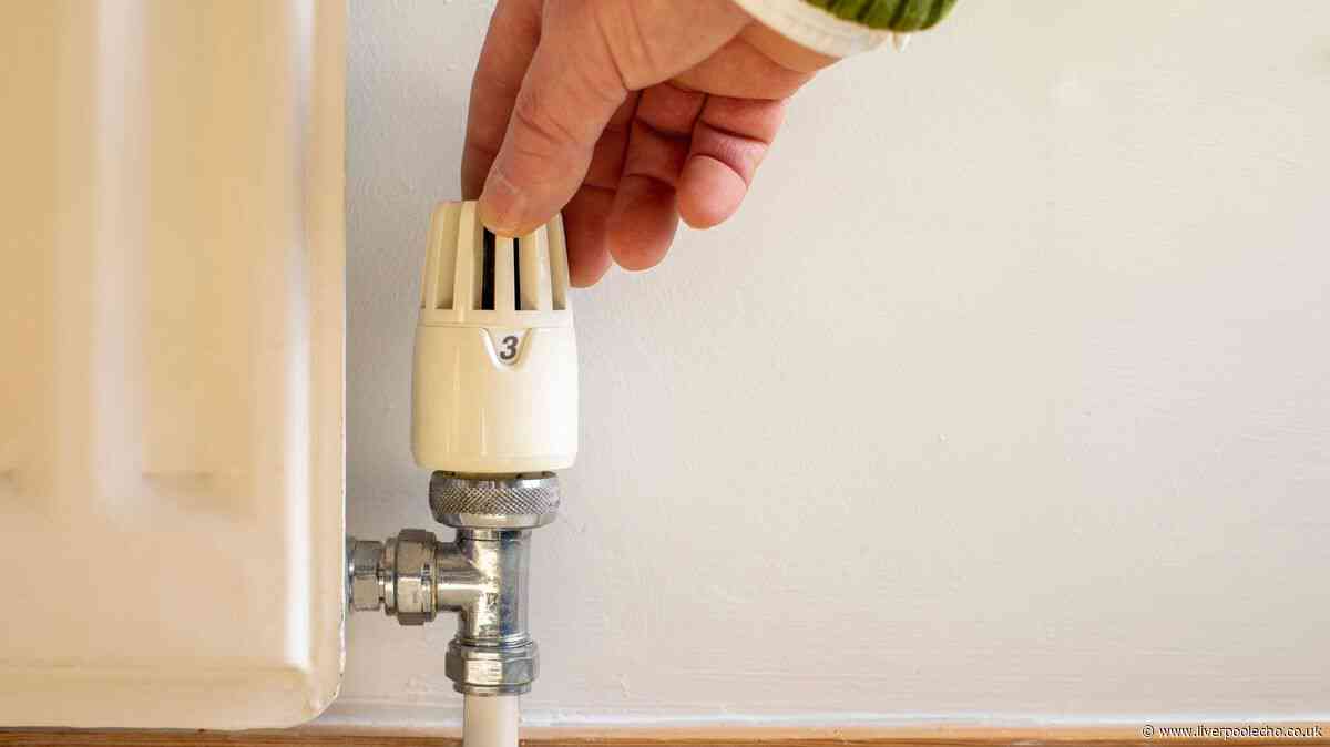 Radiators may heat up better in autumn if you use this everyday item to clean them