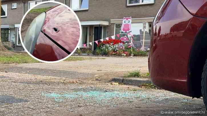Schoten in Someren midden in woonwijk, moeder haalt pasgeboren baby uit bed