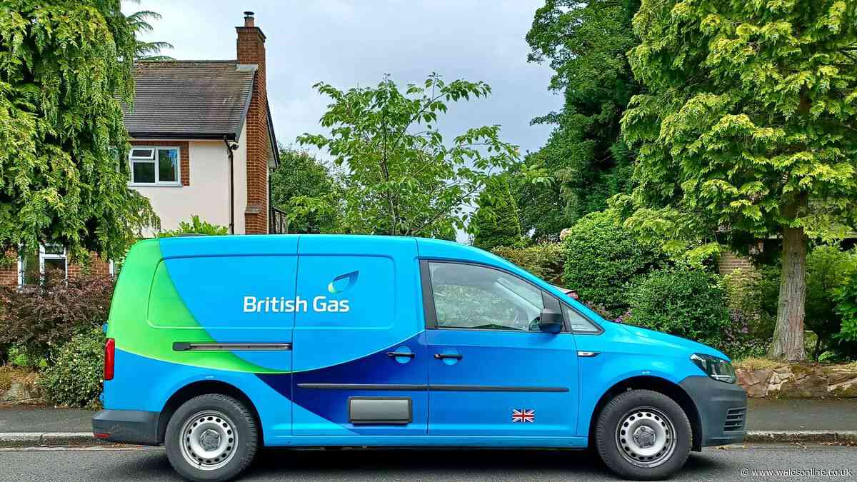 Octopus, British Gas, OVO, EDF up to £1,700 offered from October 1